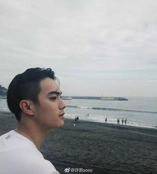 娱乐圈爆料许凯,娱乐圈新恋情引发热议