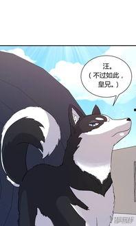 饲犬的嚎叫漫画无码,饲犬嚎叫漫画的无码解读