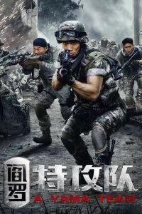 阎罗特攻队在线免费观看,在线免费观看，揭秘神秘组织神秘行动