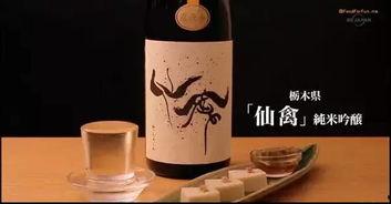 和歌子的酒免费观看,尽享免费观影盛宴