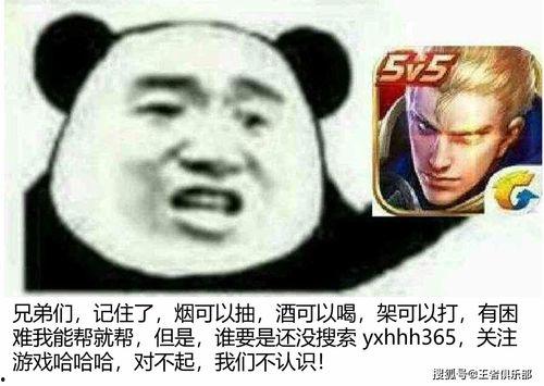 永劫表情包爆料视频,揭秘热门视频背后的趣味瞬间