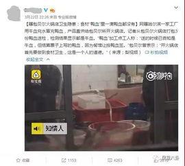 黄磊爆料蟑螂视频大全,惊悚瞬间大盘点