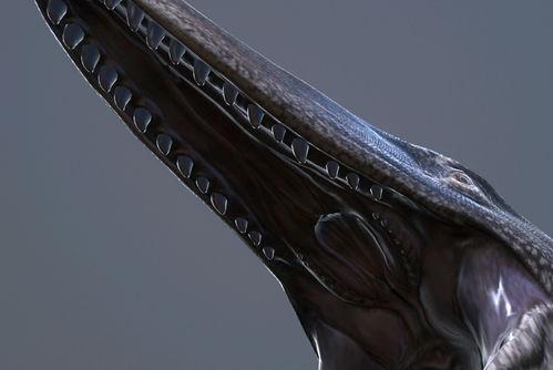 日本沧老师图片,日本教育界的璀璨明星