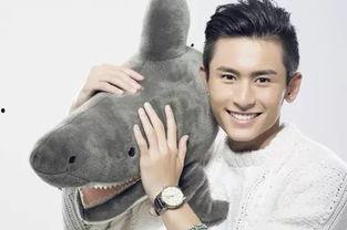 明星张什么哲,星光璀璨的演艺之路