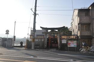 十一区日本,繁华都市与自然风光的完美融合