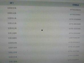广西新闻在线 爆料,揭秘重大事件背后真相