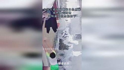 偷晾晒的丝袜违法吗,法律边界与道德考量