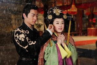 陆贞传奇全网在线观看